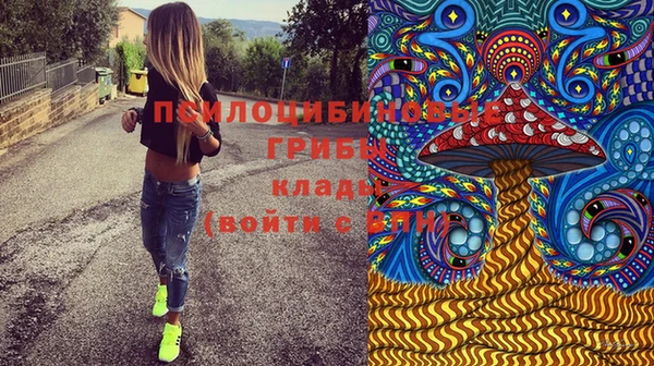 МДПВ Аркадак